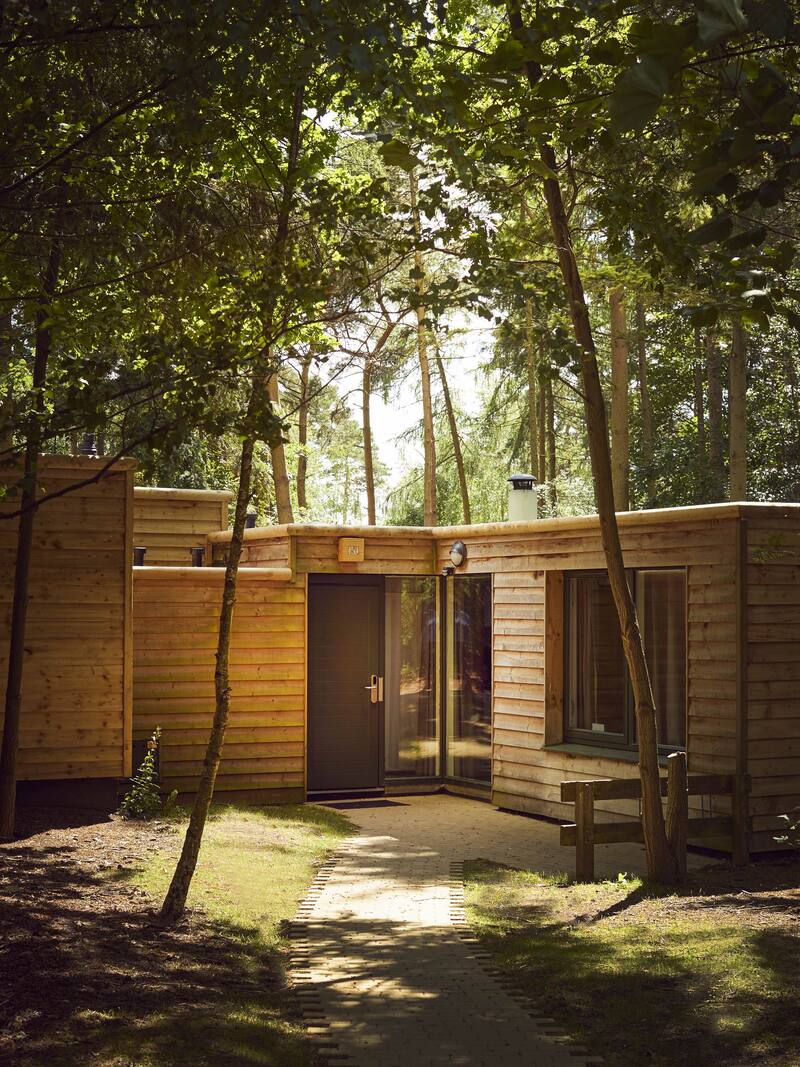 A single-storey Center Parcs woodland lodge with a level path to the front door